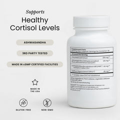 Perelel Stress Support probiotic capsule with Lp815 for digestive balance.