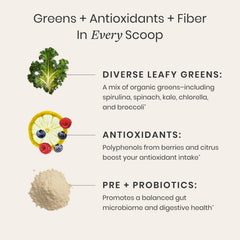 Perelel Synbiotic Greens Powder stirred into water for a quick, nutritious boost.