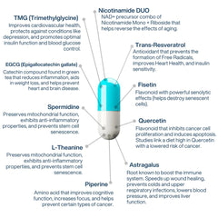 AEON ingredient overview featuring NAD+ precursors for daily balance.