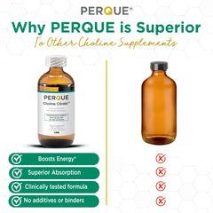 PERQUE Choline Citrate energy support concept promotes daily stamina.