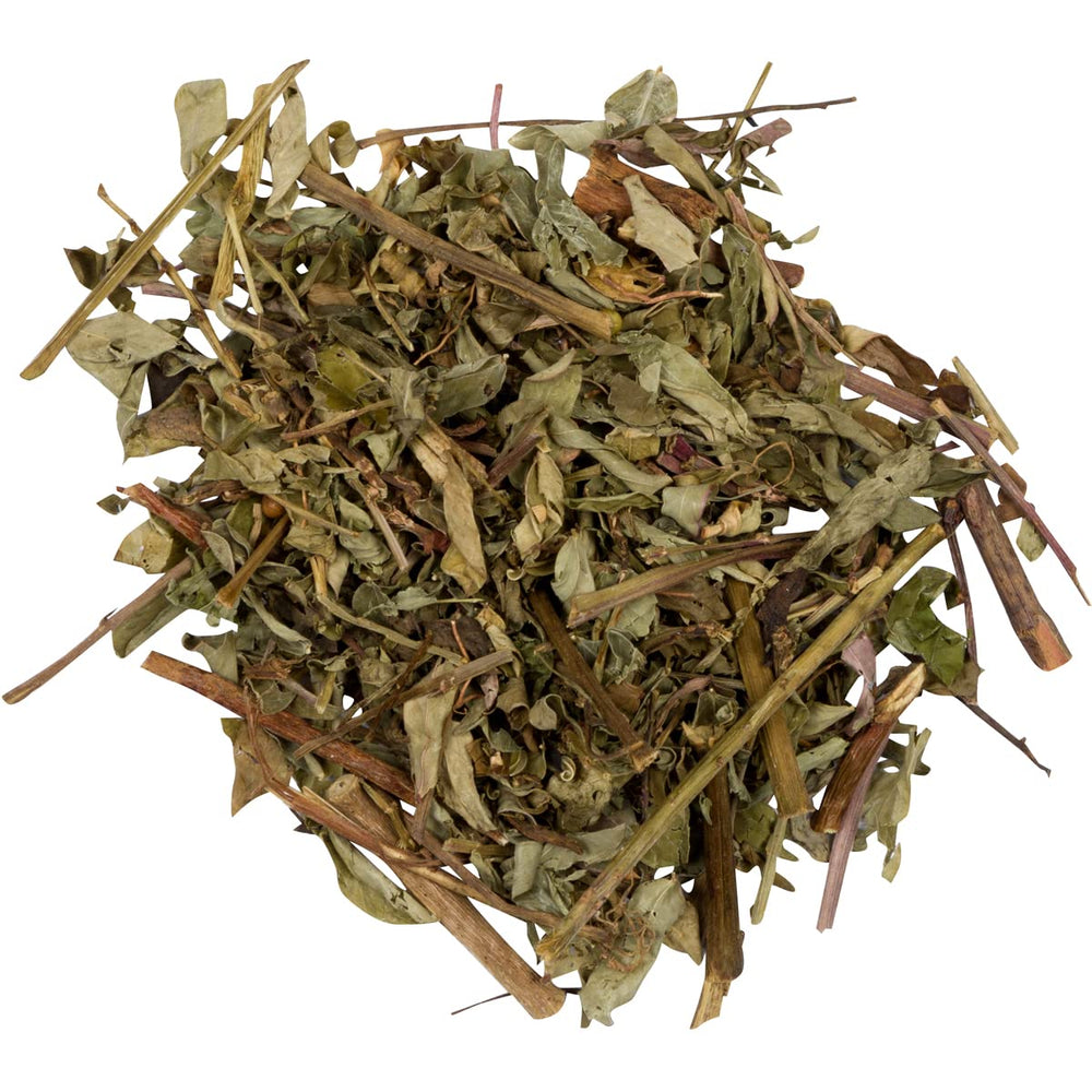 Peruvian Naturals Chanca Piedra tea steeping with steam for relaxation.