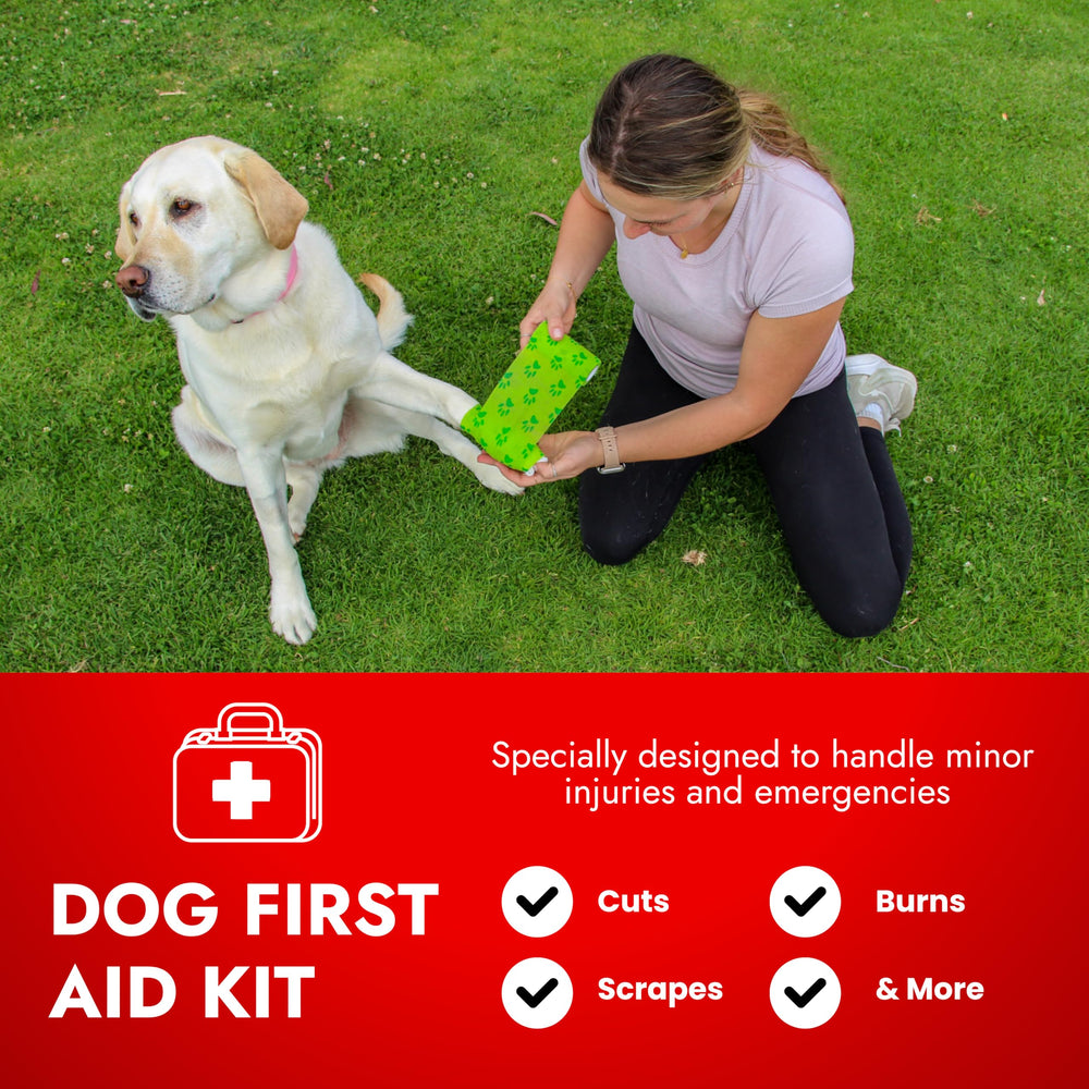PetVet Medic thermometer inside kit for fast temperature checks during emergencies.