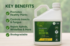 Plant Mama Neem Oil seed kernel close-up highlights natural origin and purity