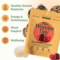 Lion's mane and cordyceps blend supports energy and focus in daily life.