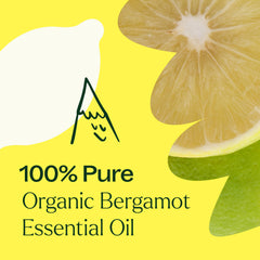 Plant Therapy Bergamot dropper in hand for gentle topical or massage use.