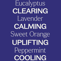 Plant Therapy Breathe Easy Sweet Orange 10ml bottle for daytime boost.