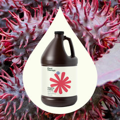 Plant Therapy Castor Oil label closeup confirms USDA Organic and 100% pure