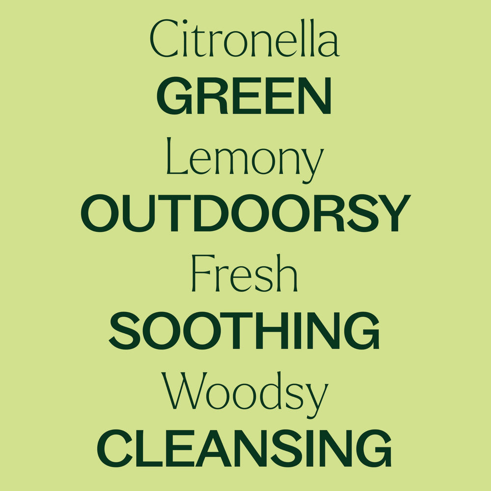 Outdoor setup with Plant Therapy citronella oil to create a pleasant gathering ambiance.
