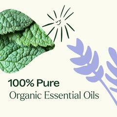 Plant Therapy Lemon and Peppermint in DIY cleaners with fresh scent.