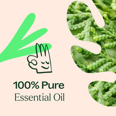 Plant Therapy Deodorizing Blend spray bottle for natural deodorizing.