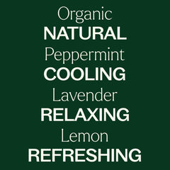 Plant Therapy diffuser blend usage for aromatic room enhancement.