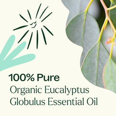 A cozy diffuser setup with Plant Therapy Eucalyptus Globulus for a refreshing workspace