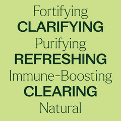 Plant Therapy Germ Fighter diffuser releasing energetic aroma in a room.