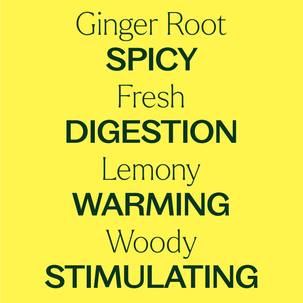 Plant Therapy Ginger Root CO2 diffuser blend ready for uplifting aromatherapy sessions