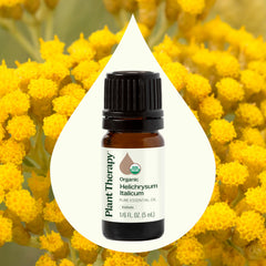 Helichrysum Italicum with Plant Therapy for topical application via rosehip carrier.