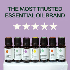 Plant Therapy Lavender oil bottle for calming aroma and skin routines.