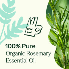 Plant Therapy batch GC-MS reports reinforce oil quality.