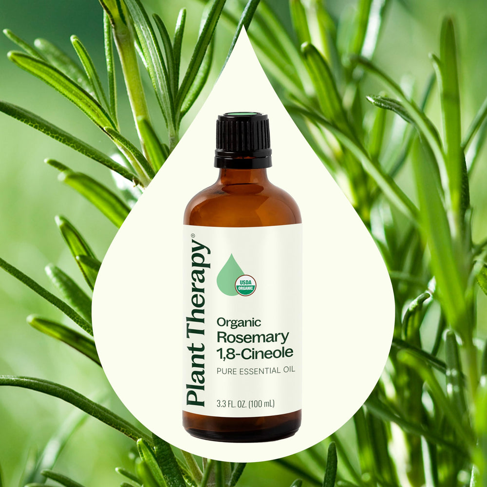 Plant Therapy rosemary oil scalp treatment aid for a gentle boost.