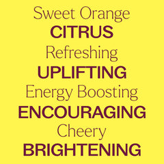 Plant Therapy Sweet Orange oil beside citrus slices suggests refreshing aroma ideas.