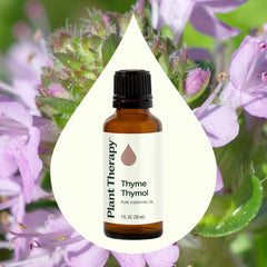 Thyme Thymol diffuser steam rising, creating a warm aroma for a calming space.