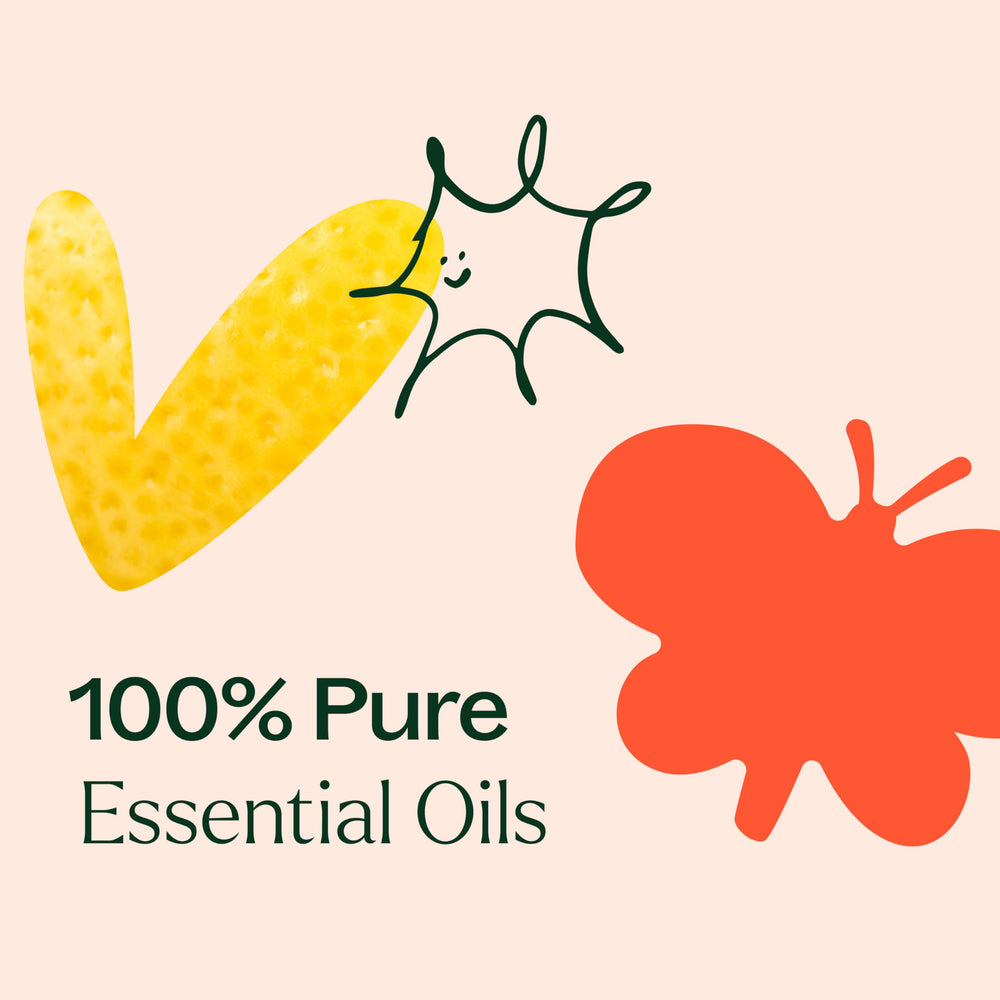 Plant Therapy Wellness 3-pack box for convenient gift-ready aroma sets.