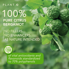 PLANT.O NUTRITION back-of-label ingredients highlight clean formulation