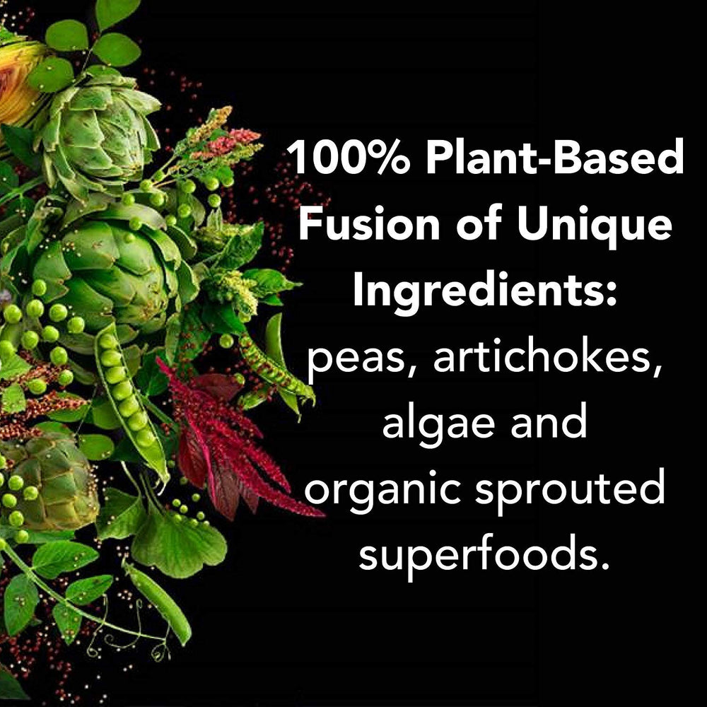 PlantFusion keto-friendly chocolate protein powder with no added sugars
