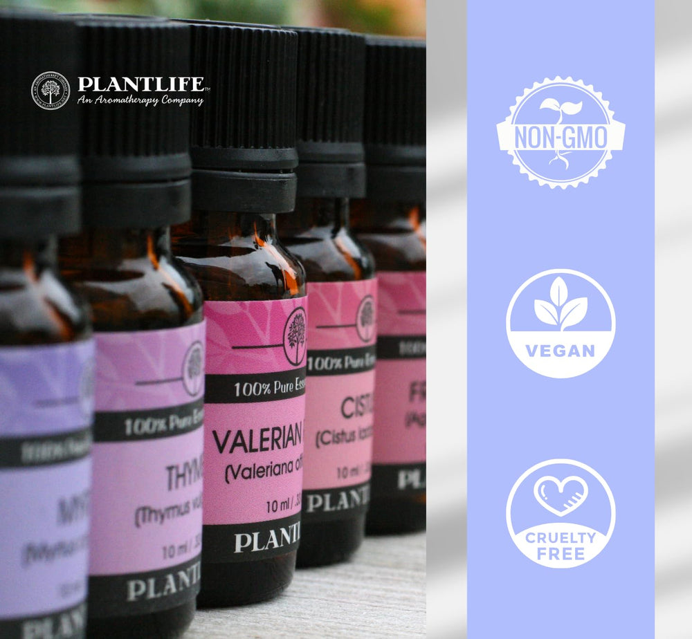 Plantlife Fragonia dropper bottle suitable for precise blends in massage or skincare.