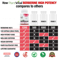 Plantvital Berberine 1200mg capsules close up, highlighting vegan non GMO formulation for daily wellness