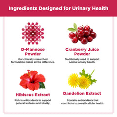 Plantvital cranberry extract hibiscus dandelion jar highlights natural blend for daily wellness.