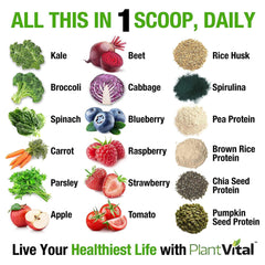 Plantvital greens nutrition blend bottle for daily greens boost