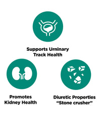 Platinum Naturals packaging with Chanca Piedra for potential kidney support.