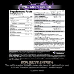 PMD Pump Fuel Ultra Insanity scoop showing precise serving for consistent dosing.