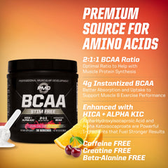 Compact PMD Sports BCAA Stim-Free tub ideal for travel and gym use