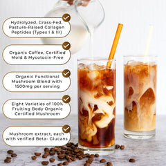PowderVitamin Chaga, Reishi, Shiitake, Maitake mushrooms array