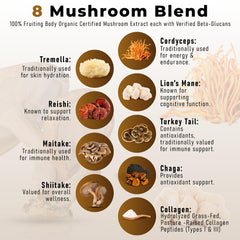 PowderVitamin Lion’s Mane and Cordyceps for focus and steady energy