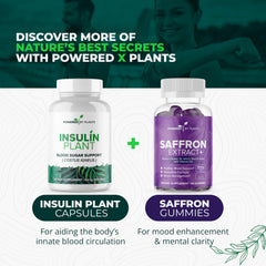 Powered X Plants vegan capsules emphasize plant-based wellness support