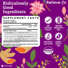 PPO Lab Relieve-fx DLPA turmeric-ginger blend emphasizes holistic wellness