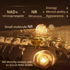 PQR lab-style image of molecular art representing cellular energy.