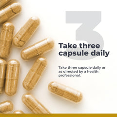 CircuZyme vegetarian capsules for daily vascular support