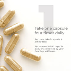 Vegan friendly DHEA from wild yam shown in capsule form