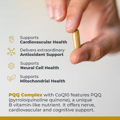 Premier Research Labs turmeric and green tea blend promoting energy and gut health