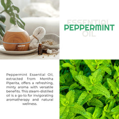 Premium Nature peppermint oil for skin care provides cooling, refreshing sensations.