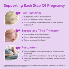 Premom prenatal bottle front view shows compatibility with existing prenatal vitamins.