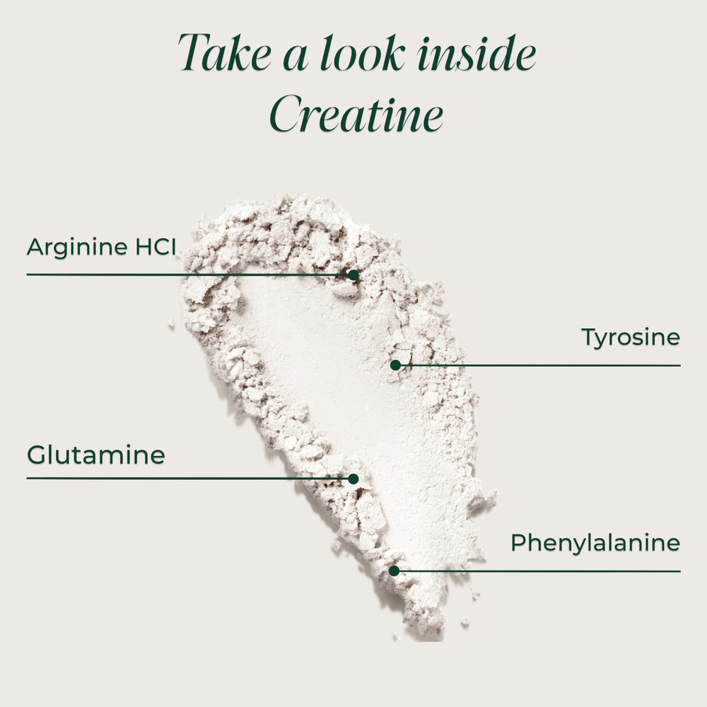 Primal Harvest Creatine Powder scoop image suggests precise dosing to fuel training sessions.