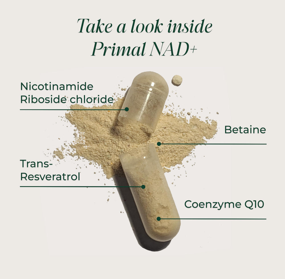 Primal Harvest NAD+ serving: two capsules per serving for NAD+ support.