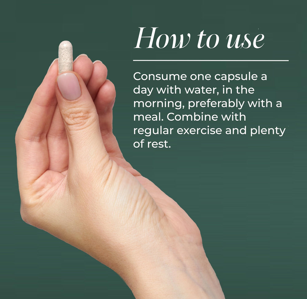 Primal Harvest Rhodiola Rosea capsule close-up for mental stamina.