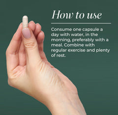 Primal Harvest Rhodiola Rosea capsule close-up for mental stamina.