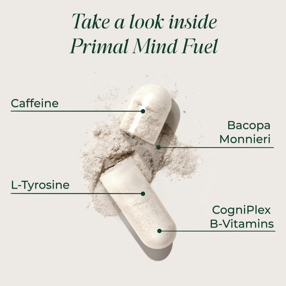 Primal Mind Fuel capsules in hand for on-the-go focus.