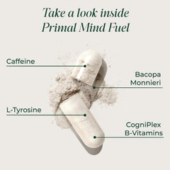 Primal Mind Fuel capsules in hand for on-the-go focus.